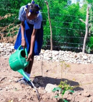 watering1