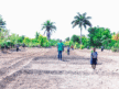 Mango Tree Planting Day & Training