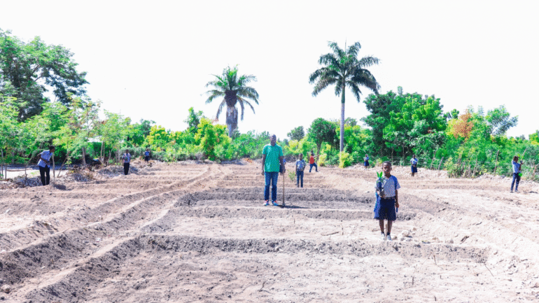 Mango Tree Planting Day & Training